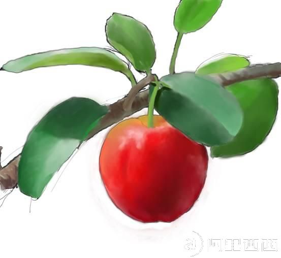 aiyiweb图文教程，aiyiweb.com