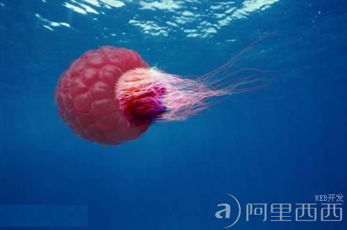 蔬菜水果与动物的完美结合