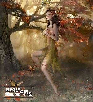 aiyiweb图文教程，aiyiweb.com