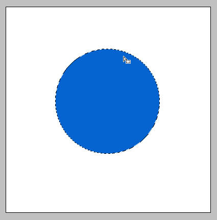 上传的图片