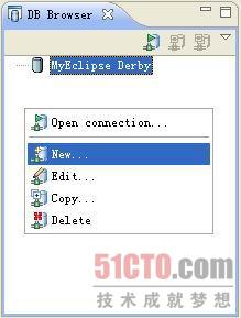 打开MyEclipse Database